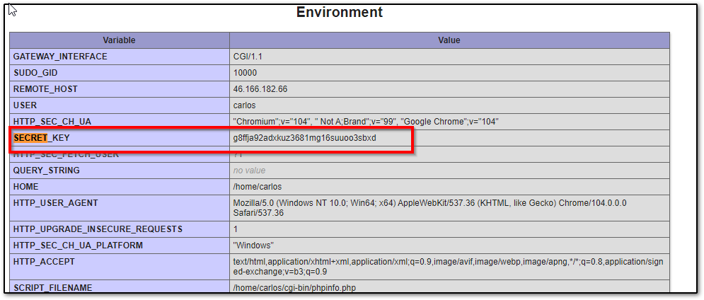 Environment section of phpinfo page showing secret_key value